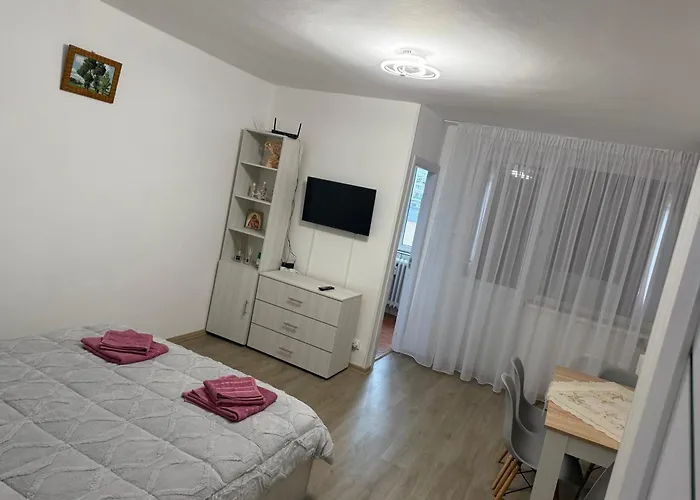 Apartament Studio Craiova *